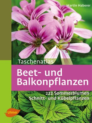 cover image of Beet- und Balkonpflanzen